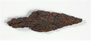 Arrowhead
Photographer:Yolovitch Yael