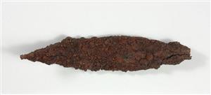 Arrowhead
Photographer:Yolovitch Yael
