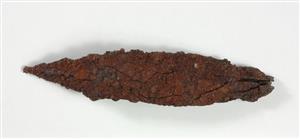Arrowhead
Photographer:Yolovitch Yael