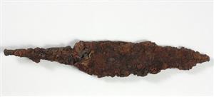 Arrowhead
Photographer:Yolovitch Yael
