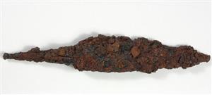 Arrowhead  
 Photographer:Yolovitch Yael