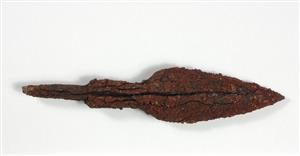 Arrowhead
Photographer:Yolovitch Yael