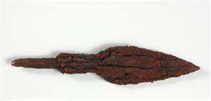 Arrowhead
Photographer:Yolovitch Yael