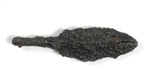 Arrowhead
Photographer:Yolovitch Yael