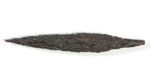 Arrowhead
Photographer:Yolovitch Yael