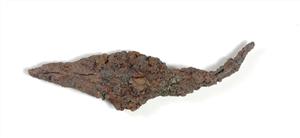 Arrowhead
Photographer:Yolovitch Yael