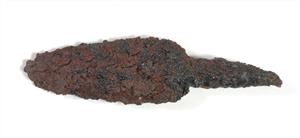 Arrowhead
Photographer:Yolovitch Yael