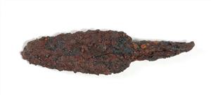 Arrowhead
Photographer:Yolovitch Yael