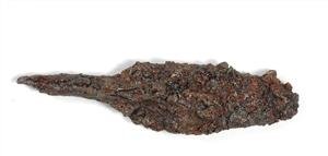 Arrowhead
Photographer:Yolovitch Yael