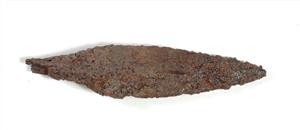 Arrowhead
Photographer:Yolovitch Yael