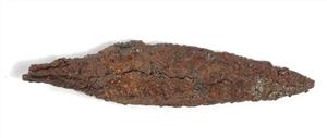 Arrowhead
Photographer:Yolovitch Yael