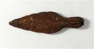 Arrowhead
Photographer:Yolovitch Yael