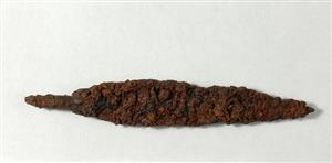 Arrowhead
Photographer:Yolovitch Yael