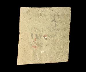 Ostracon Hebrew
Photographer:Yolovitch Yael