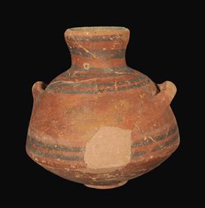 Pyxis Ashdodite
Photographer:Clara Amit