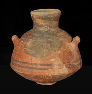 Pyxis Ashdodite
Photographer:Clara Amit