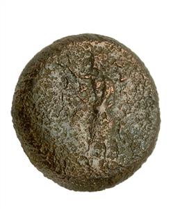 Coin ,Alexander I Balas (150-145 BCE),Ascalon
Photographer:Clara Amit