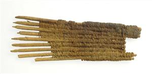 Comb
Photographer:Clara Amit