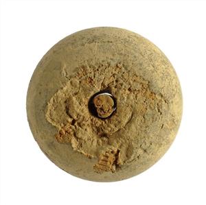 Spindle Whorl  
 Photographer:Clara Amit