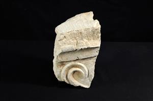 Architectural Element Decorated in Relief
Photographer:Yolovitch Yael