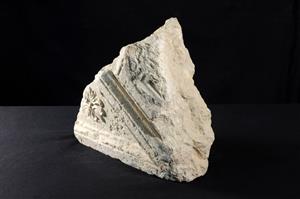 Architectural Element Decorated in Relief
Photographer:Yolovitch Yael