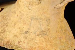Fragment Amphora Inscribed  
 Photographer:Yolovitch Yael
