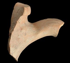 Handle Amphora Impressed with Stamp Seal  
 Photographer:Yolovitch Yael