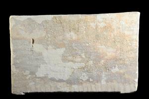 Ossuary & Lid Inscribed
Photographer:Yolovitch Yael