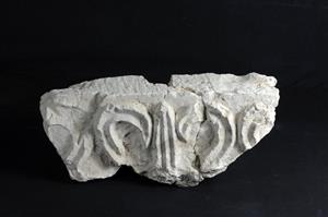 Fragment Cornice Decorated in Relief
Photographer:Yolovitch Yael