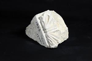 Fragment Cornice Decorated in Relief
Photographer:Yolovitch Yael