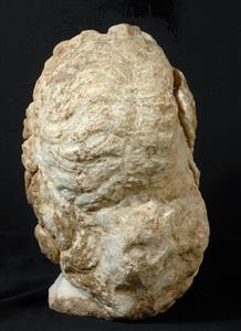 Head Statue Semi-Divine/Divine Figure
Photographer:Clara Amit