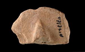 Fragment Stamp Engraved  
 Photographer:Yolovitch Yael