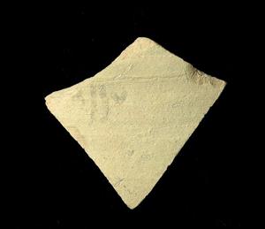 Ostracon Aramaic
Photographer:Yolovitch Yael