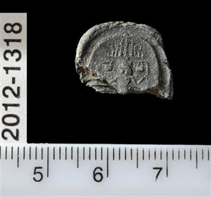 Fragment Bulla
Photographer:Yolovitch Yael