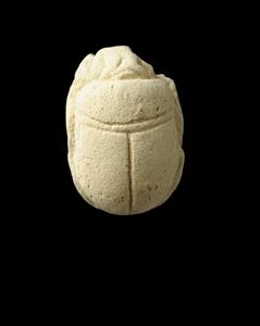 Scarab
Photographer:Yolovitch Yael