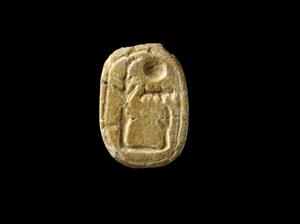 Scarab  
 Photographer:Yolovitch Yael
