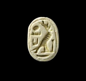 Scarab  
 Photographer:Yolovitch Yael