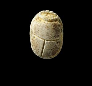 Scarab
Photographer:Yolovitch Yael