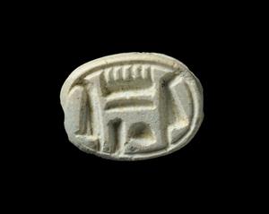 Scarab  
 Photographer:Yolovitch Yael