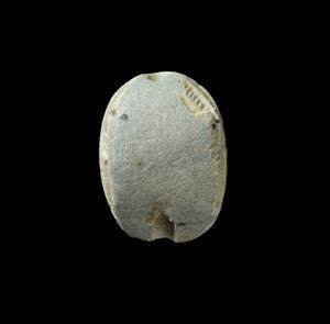 Scarab
Photographer:Yolovitch Yael