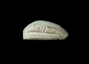Scarab
Photographer:Yolovitch Yael