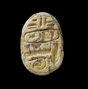 Scarab
Photographer:Yolovitch Yael