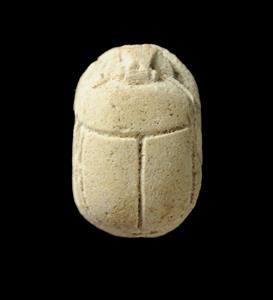 Scarab
Photographer:Yolovitch Yael