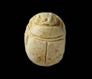 Scarab
Photographer:Yolovitch Yael