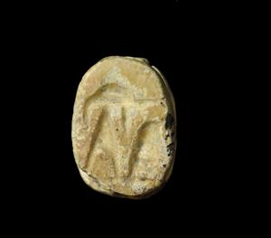 Scarab  
 Photographer:Yolovitch Yael