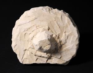 Vessel Lid
Photographer:Yolovitch Yael