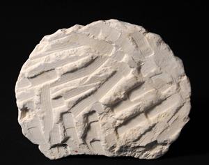Vessel Lid
Photographer:Yolovitch Yael