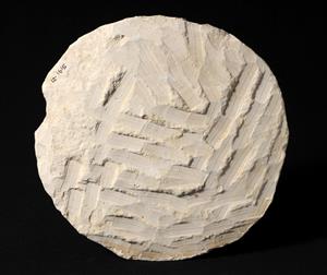 Vessel Lid
Photographer:Yolovitch Yael