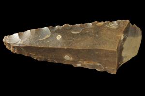 Fragment Spear-Head
Photographer:Yolovitch Yael