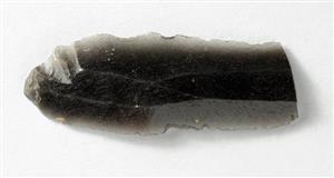 Fragment Blade
Photographer:Yolovitch Yael
